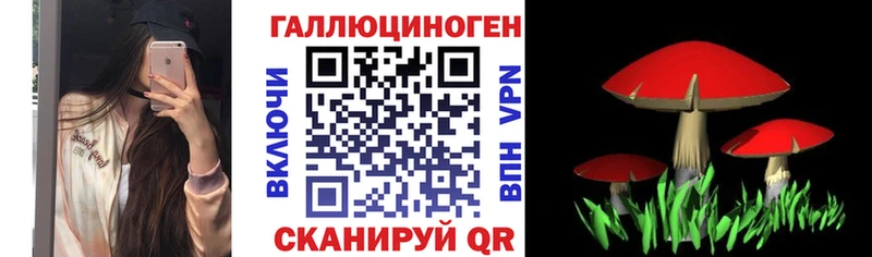 цена   Тосно  Галлюциногенные грибы мицелий 